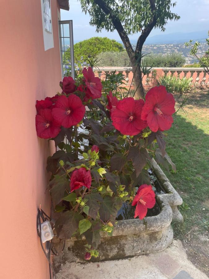 ניס Chambre D'Hotes A L'Ancre Marine De La Villa Rose מראה חיצוני תמונה